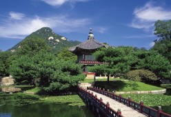 2.2万名跑者体验“一城春色半程诗”，北京半马圆满举行